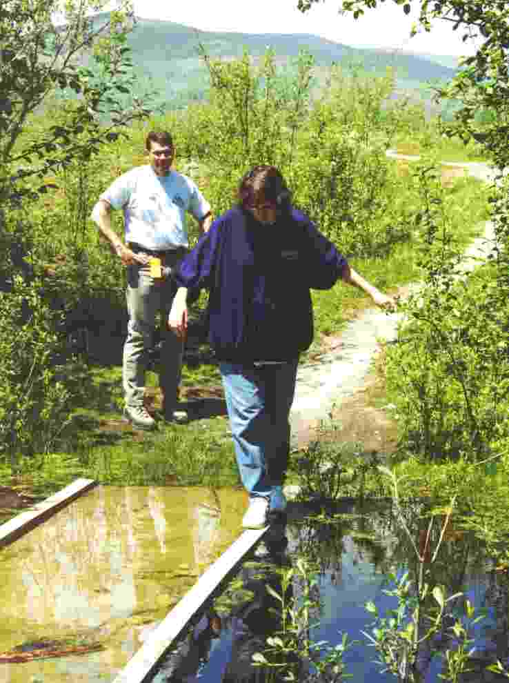 Cindy on a flooded bridge