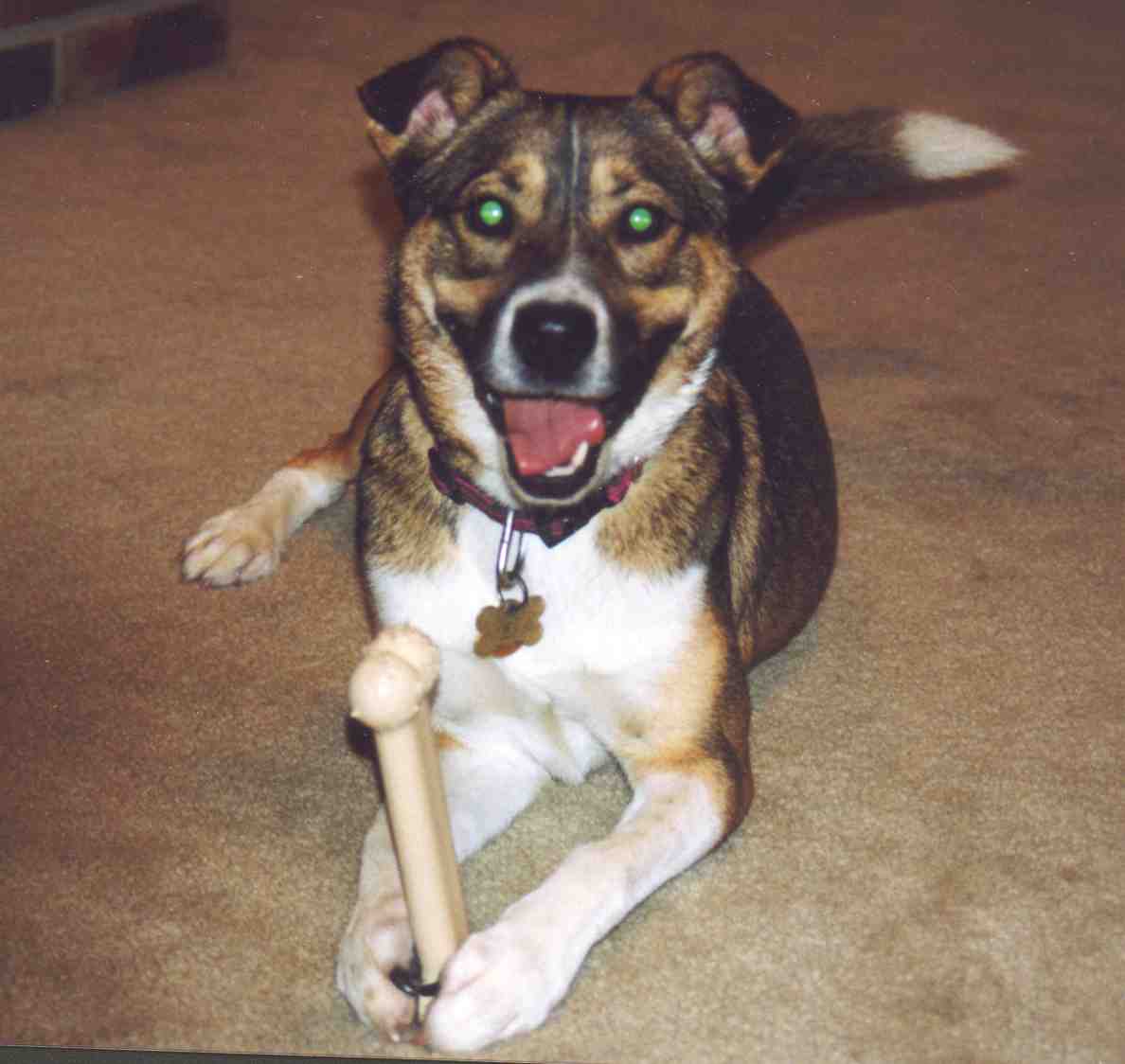 Nutmeg